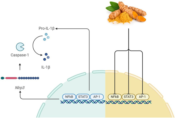 Curcumin as a promising therapeutic agent for diabetic neuropathy: from molecular mechanisms to functional recovery.