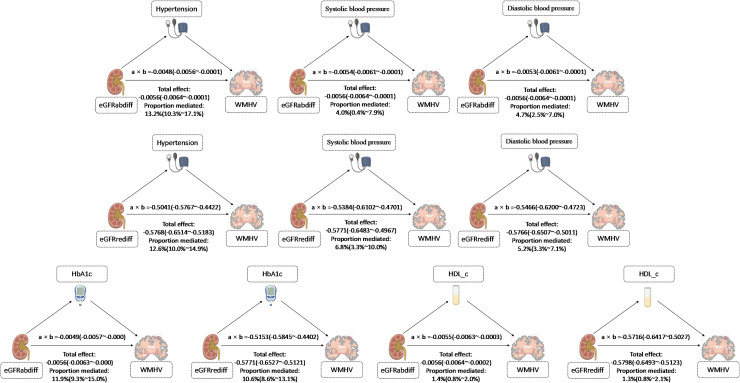 Association of the difference between cystatin C- and creatinine-based estimated glomerular filtration rate with cerebral small vessel disease: A large prospective cohort study.