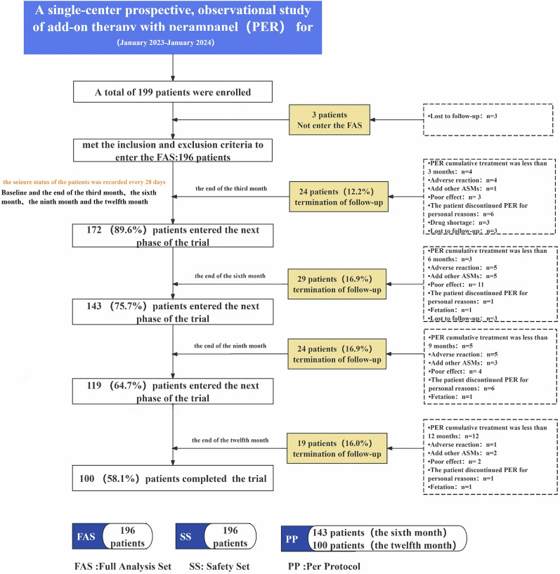 Perampanel as Add-on in Patients Aged ≥ 12 Years with Focal Epilepsy: A Prospective Real-World Observational Study from Southern China.