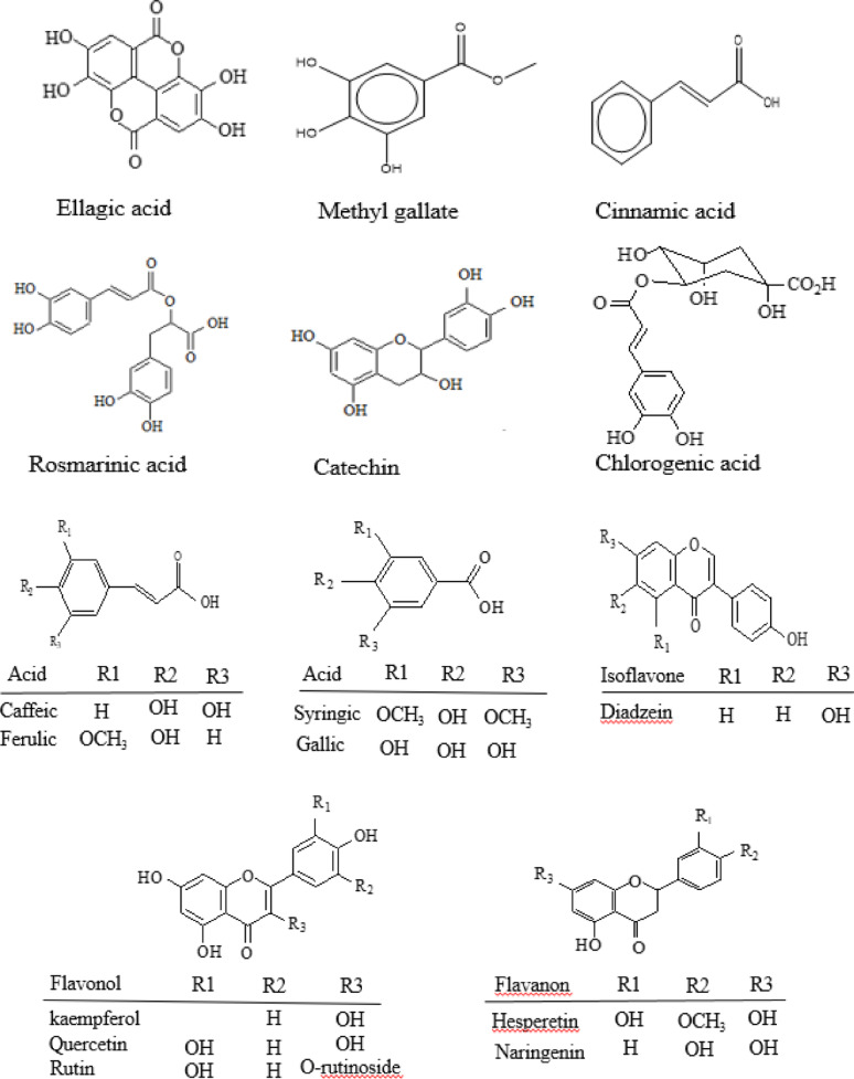 Insight into the biological activities of Fagonia Arabica L. and its phytochemical constituents.