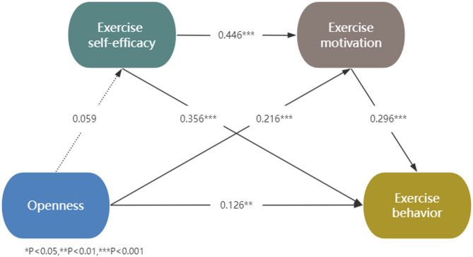 The influence of personality traits on college students' exercise behavior: a chain mediation model of exercise self-efficacy and exercise motivation.