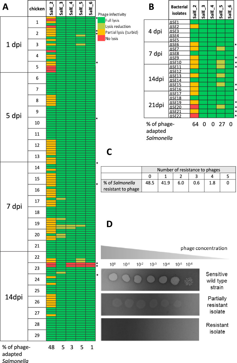 Characterization of Salmonella adaptation in response to phage treatment in broiler chickens.
