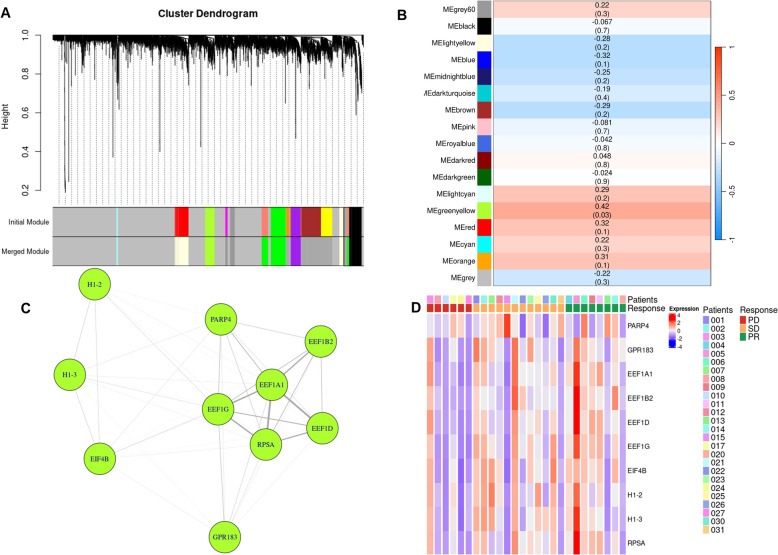 Blood-based transcriptomic biomarkers for response to [<sup>177</sup>Lu]Lu-DOTA-TATE therapy in neuroendocrine tumors.