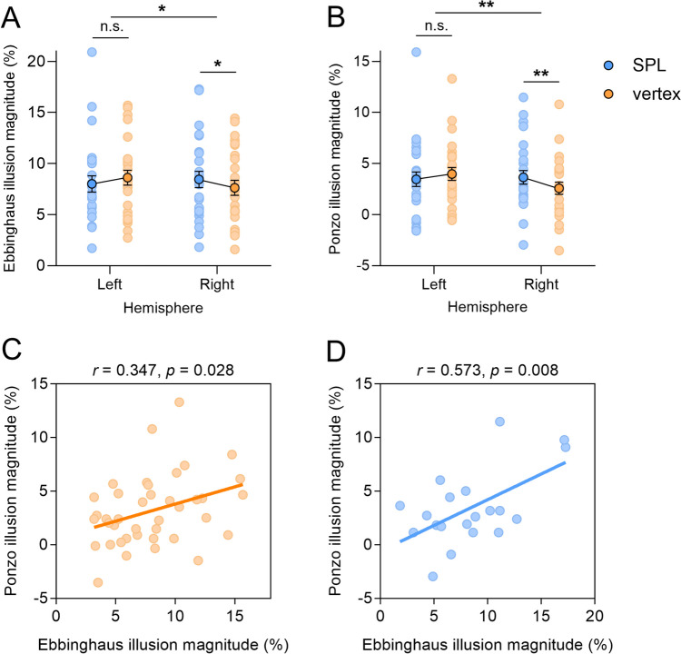 Rhythmic beta-frequency TMS over human right parietal cortex strengthens visual size illusions.