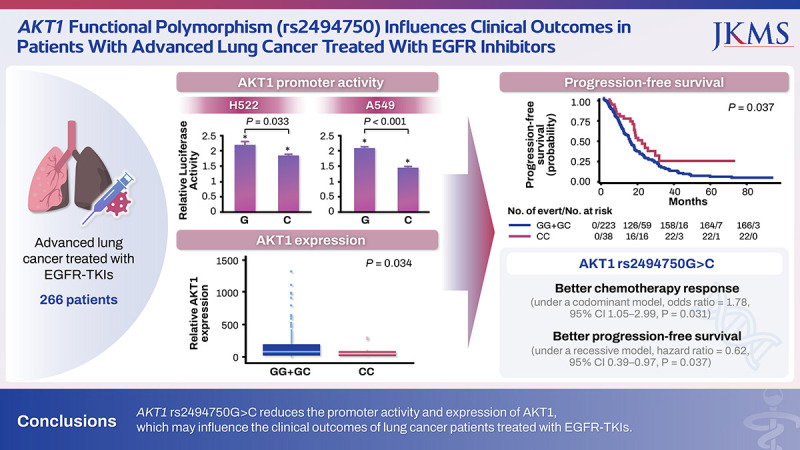 <i>AKT1</i> Functional Polymorphism (rs2494750) Influences Clinical Outcomes in Patients With Advanced Lung Cancer Treated With EGFR Inhibitors.