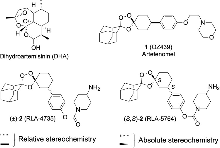 Identifying a next-generation antimalarial trioxolane in a landscape of artemisinin partial resistance.