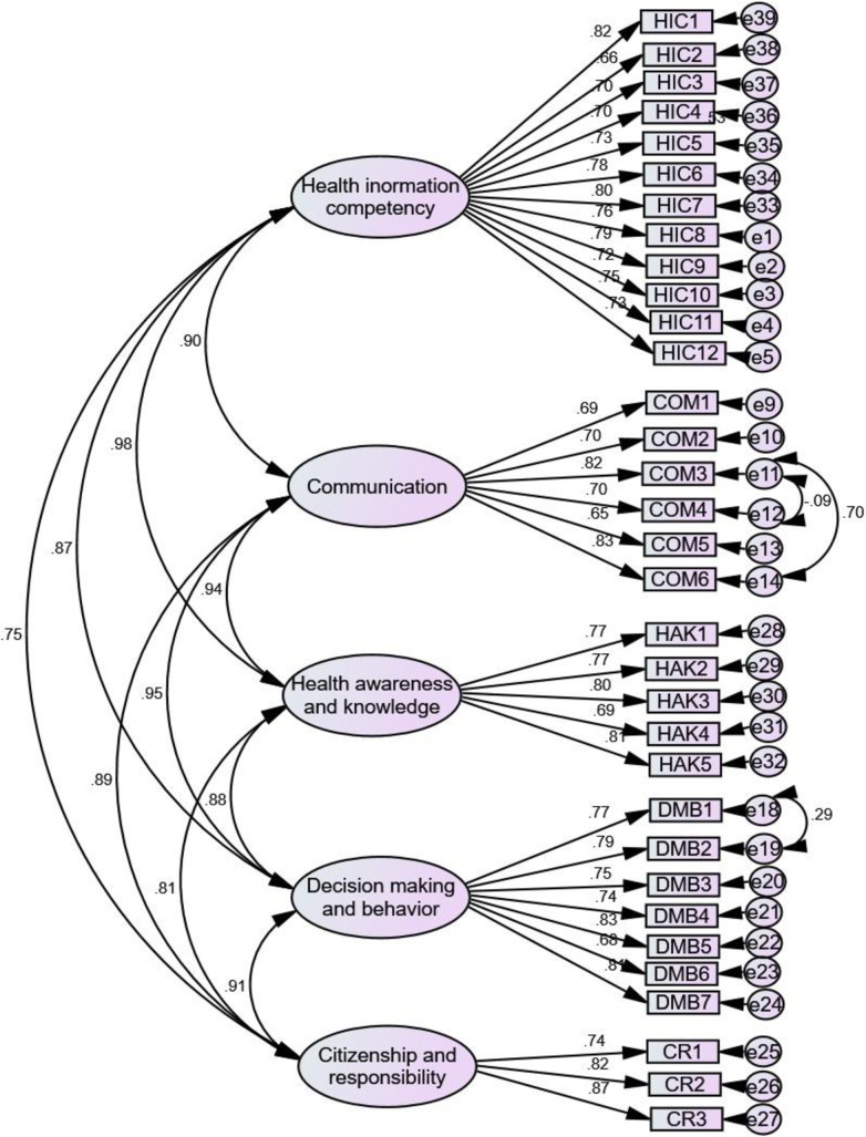 Development and validation of an adolescent health literacy scale in Ethiopia: A mixed methods approach.
