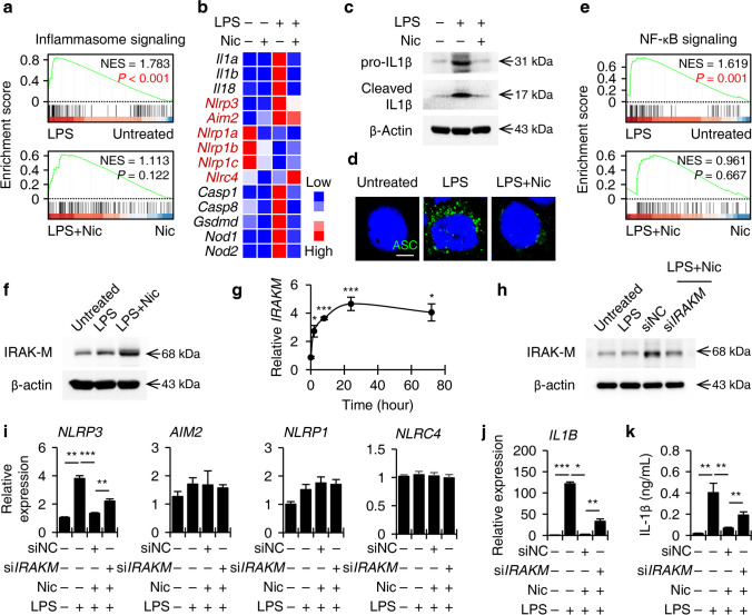 Nicotine-Induced Transient Activation of Monocytes Facilitates Immunosuppressive Macrophage Polarization that Restrains T Helper 17 Cell Expansion.
