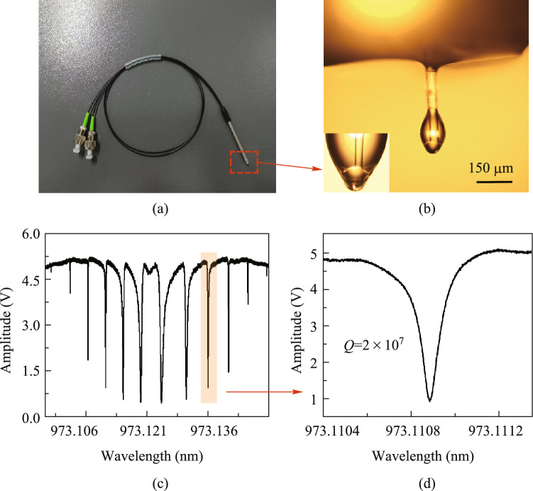 WGM microprobe device for high-sensitivity ultrasound detection and vibration spectrum measurement.