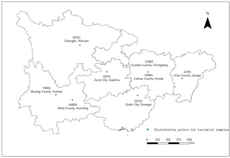 High-throughput sequencing-based study on bacterial community structure and functional prediction of fermented bean curd from different regions in China.