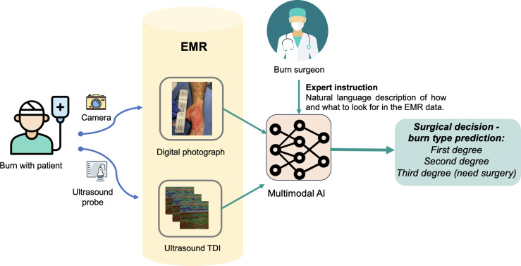 AI-Driven Integrated System for Burn Depth Prediction With Electronic Medical Records: Algorithm Development and Validation.