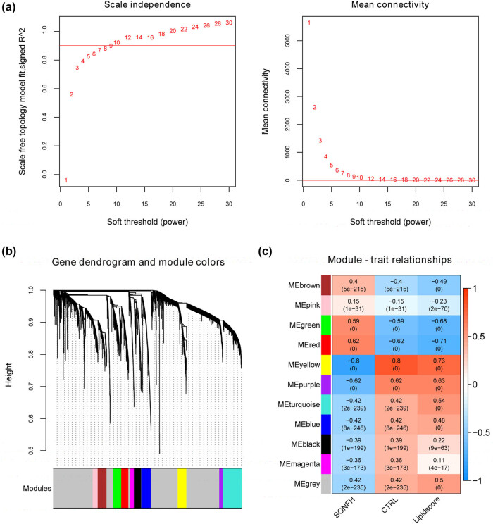 Discovery of lipid metabolism-related diagnostic biomarkers and construction of diagnostic model in steroid-induced osteonecrosis of femoral head.