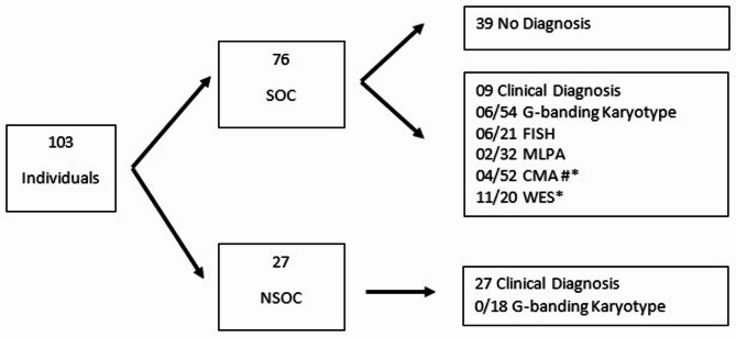 Genetic testing for oral clefts: reflections based on a single Brazilian public genetics service.