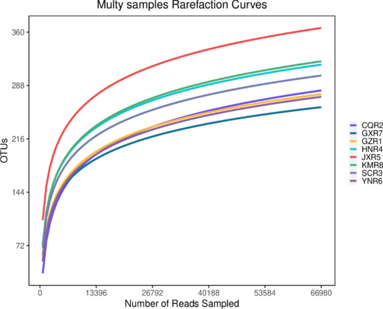 High-throughput sequencing-based study on bacterial community structure and functional prediction of fermented bean curd from different regions in China.