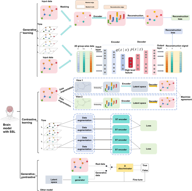 Self-Supervised Learning to Unveil Brain Dysfunctional Signatures in Brain Disorders: Methods and Applications.