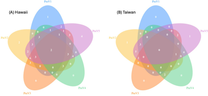 Five novel RNA viruses of the invasive big-headed ant (Pheidole megacephala)
