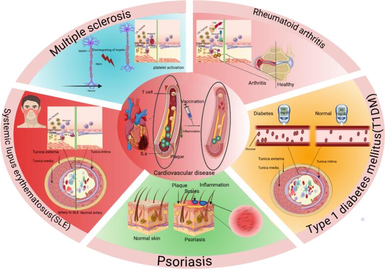 Mitigating atherosclerosis: Integrating vaccines with gene targets.