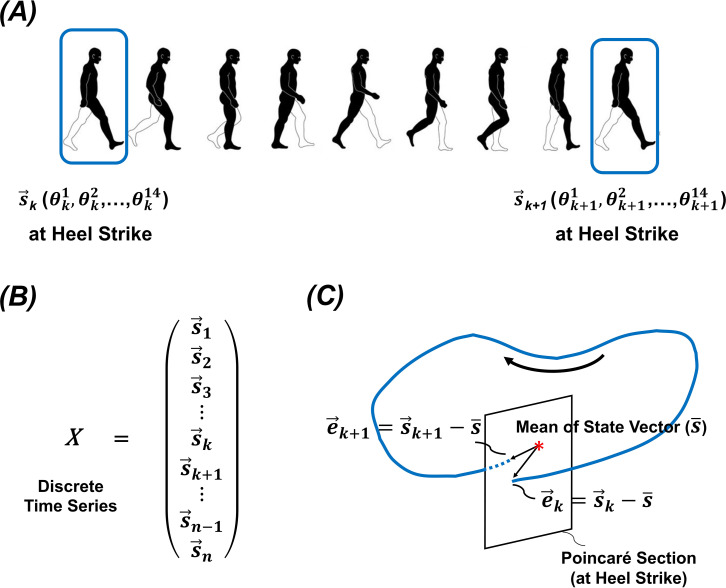 The effect of sampling methods on the validity and reliability of the estimation of the orbital stability of human gait.