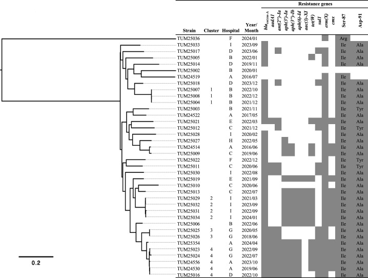 Genomic epidemiology and antimicrobial resistance of <i>Corynebacterium macclintockiae</i>, the predominant species of human pathogens within the <i>Corynebacterium jeikeium</i> complex.