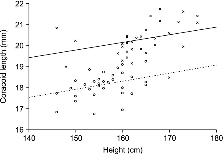 Anatomic Morphometry of the Coracoid Process and Lateral Clavicle for Management of Glenoid Bone Loss: A 3-Dimensional Analysis in a Korean Population.
