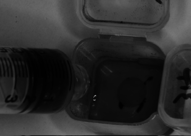 Evaluation of the Effect of Saudi Coffee Consumption in Comparison to Various Types of Coffees on the Color of Novel Aesthetic Dental Ceramics.