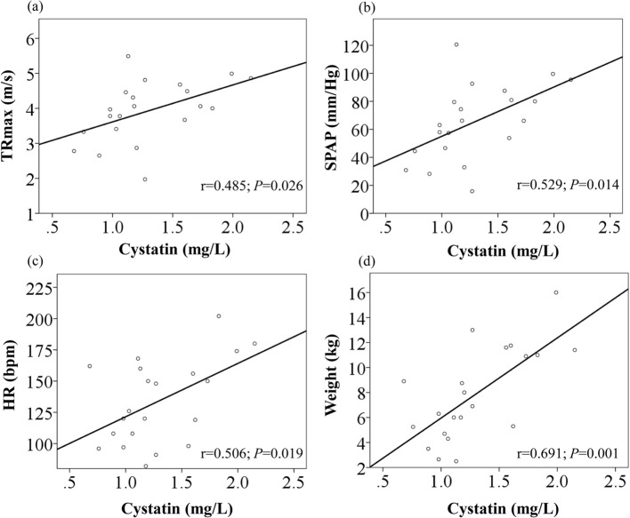 A pilot study investigating renal biomarkers in dogs with pulmonary hypertension: a comparison between cystatin-C, symmetric dimethylarginine, and creatinine.