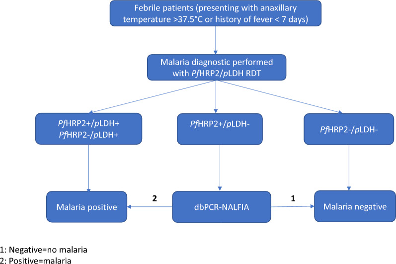 Refining malaria diagnosis in high-transmission areas: a dual-approach with rapid diagnostic tests (RDTs) and dbPCR-NALFIA.