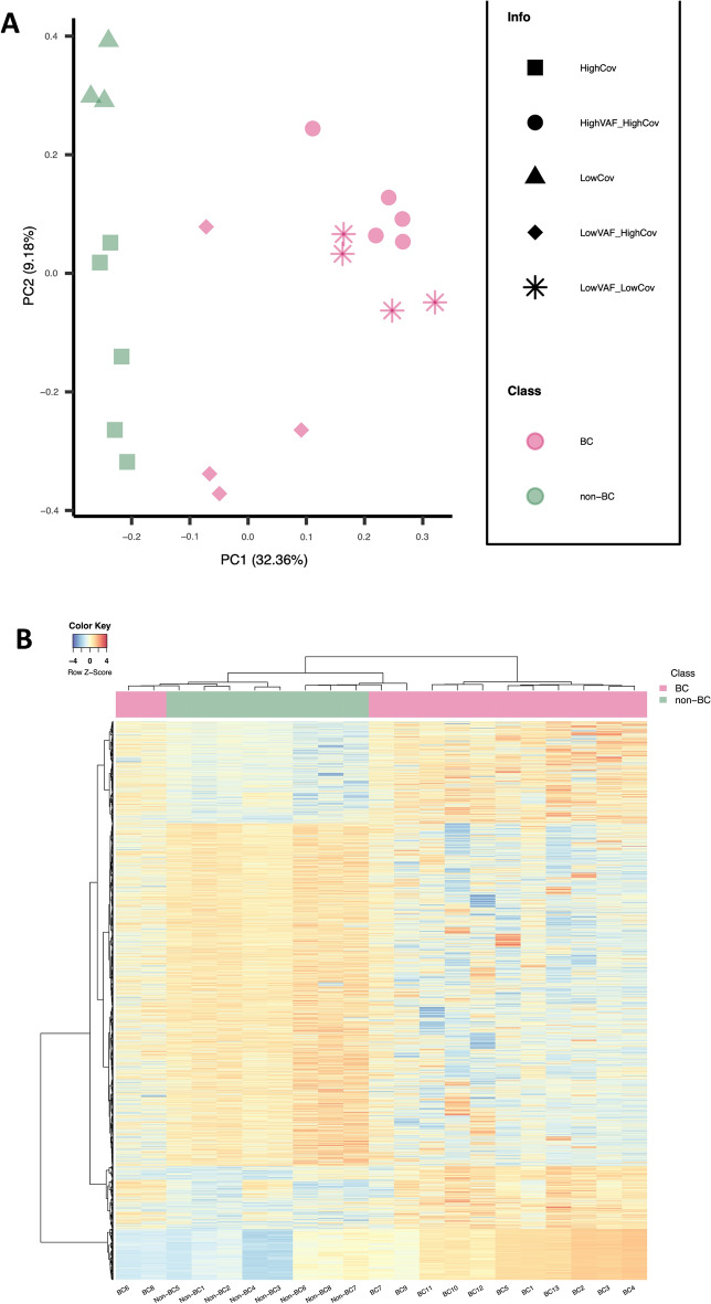 Detection of genome-wide methylation changes in bladder cancer by long-read sequencing of urinary DNA.