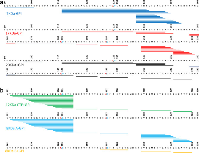 Variably protease-sensitive prionopathy: mass spectrometry analysis of the pathogenic prion protein provides a new perspective.
