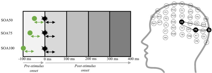 Functional Connectivity Is Stronger Between Unisensory and Multisensory Regions for Nonsimultaneous Judgments of Visual-Tactile Stimuli.