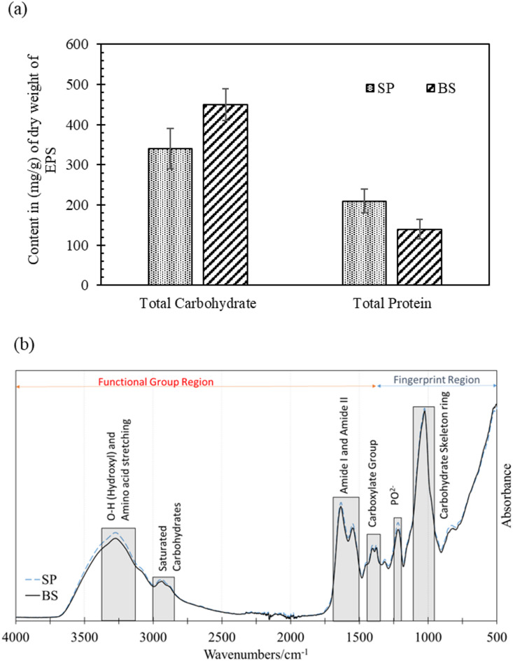 Effect of substrate mineralogy, biofilm and extracellular polymeric substances on bacterially induced carbonate mineralisation investigated with in situ nanoscale ToF-SIMS.