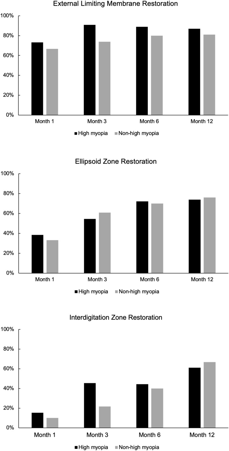 Internal Limiting Membrane Flap Enhances Macular Hole Closure Rates in Highly Myopic Eyes: A Case-Control Study.