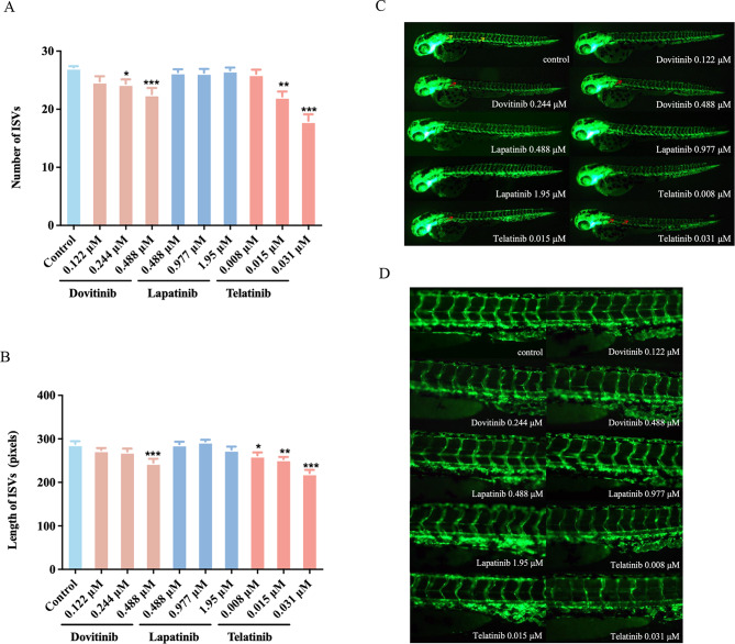 The inhibitory effect of tyrosine kinase inhibitors on angiogenesis in zebrafish and interrelationship with the activation of the PI3K/AKT pathway.