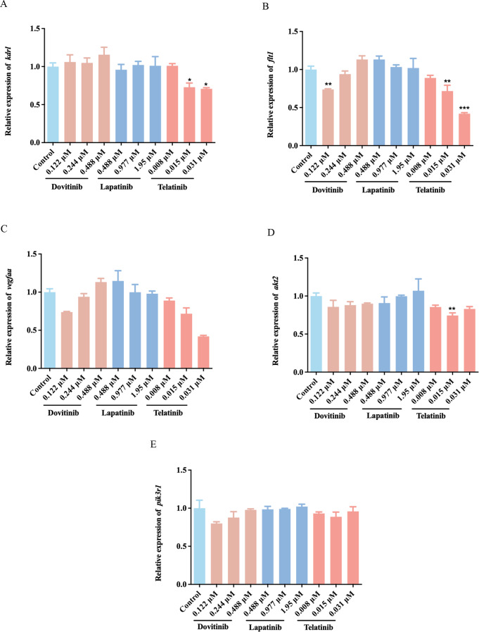 The inhibitory effect of tyrosine kinase inhibitors on angiogenesis in zebrafish and interrelationship with the activation of the PI3K/AKT pathway.