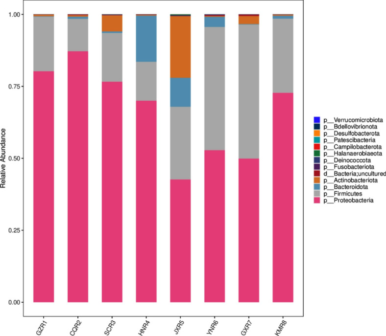 High-throughput sequencing-based study on bacterial community structure and functional prediction of fermented bean curd from different regions in China.