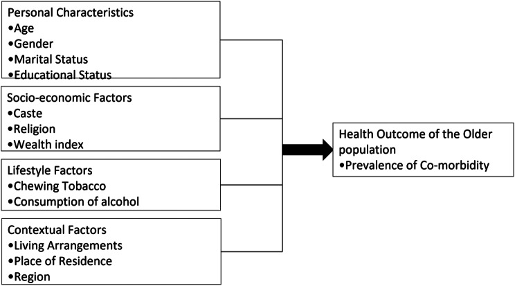 Exploring the intersectional dynamics of co-morbidities and risk factors among the older population in India.