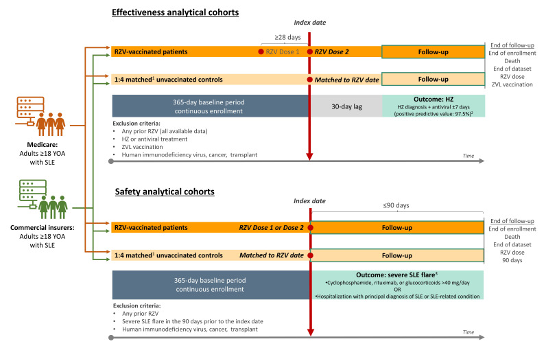 Effectiveness and safety of the recombinant zoster vaccine in adult patients with systemic lupus erythematosus: a claims-based retrospective cohort study in the USA.