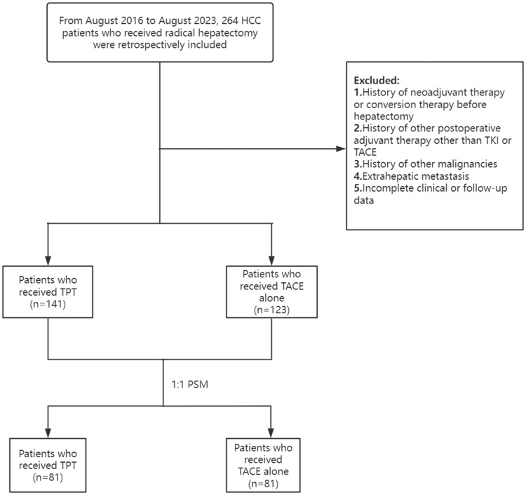 Whether Adjuvant TACE Plus TKI Therapy is More Effective Than TACE Alone in HCC Patients at High Risks of Recurrence Following Radical Hepatectomy.
