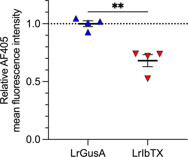 Limosilactobacillus reuteri enables oral-to-systemic absorption of iberiotoxin for treatment of collagen-induced arthritis in rats.