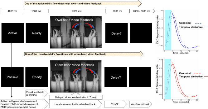 Temporal characteristics of hemodynamic responses during active and passive hand movements in schizophrenia spectrum disorder.