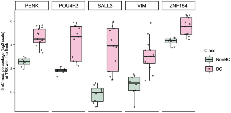 Detection of genome-wide methylation changes in bladder cancer by long-read sequencing of urinary DNA.