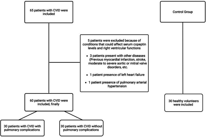 Association of serum copeptin levels with pulmonary complications and heart right ventricular functions in common variable immunodeficiency.
