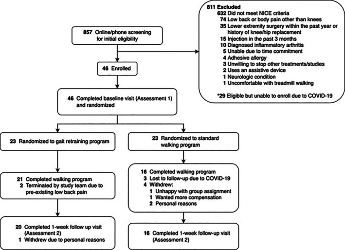Gait Retraining to Reduce Tibial Acceleration Versus a Standard Walking Program for Reducing Knee Pain and Loading in Adults With Knee Osteoarthritis: A Randomized Feasibility Trial.