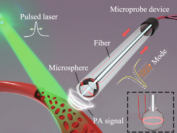 WGM microprobe device for high-sensitivity ultrasound detection and vibration spectrum measurement.