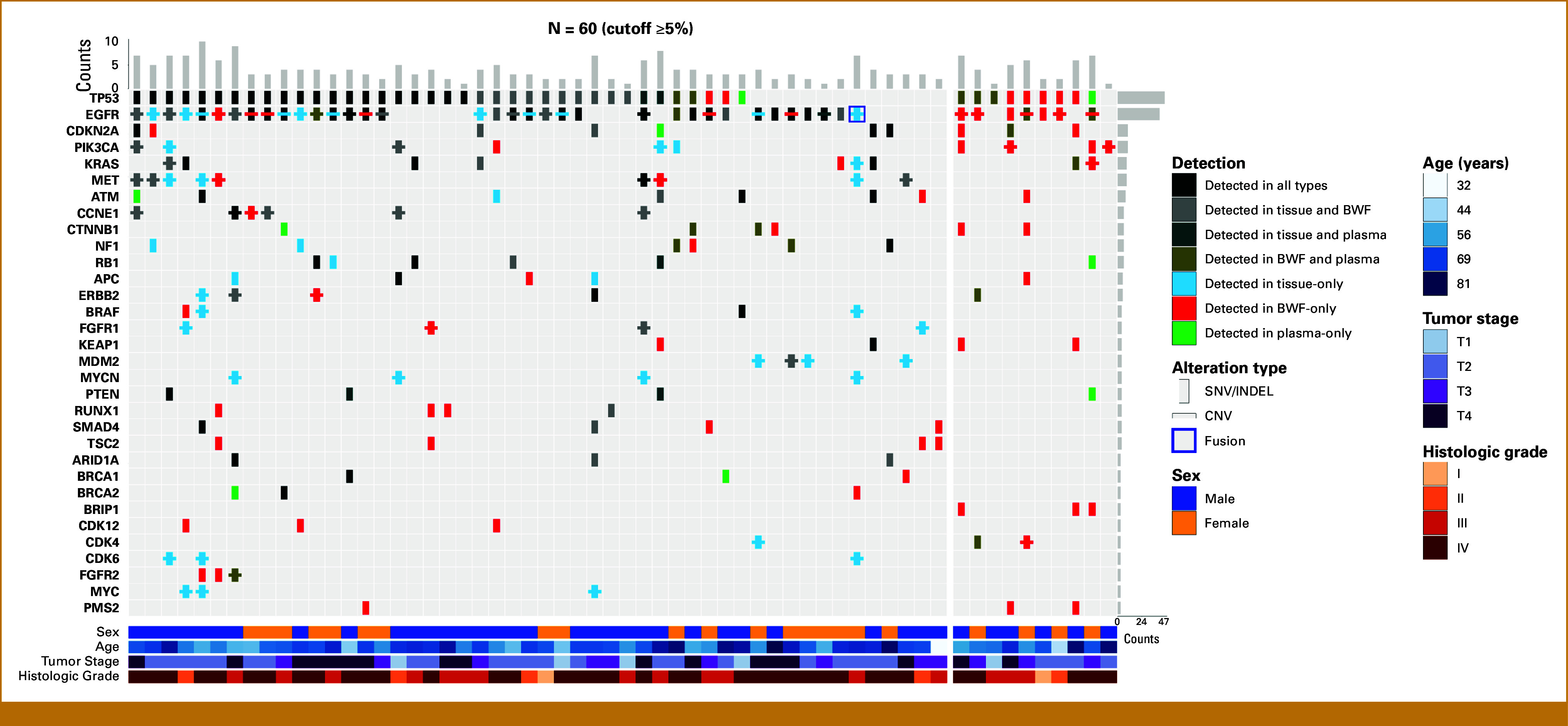 Enhanced Detection of Druggable Mutations in Non-Small Cell Lung Cancer Using Targeted Collection of Bronchial Washing Fluid Compared With Plasma and Tumor Tissue.