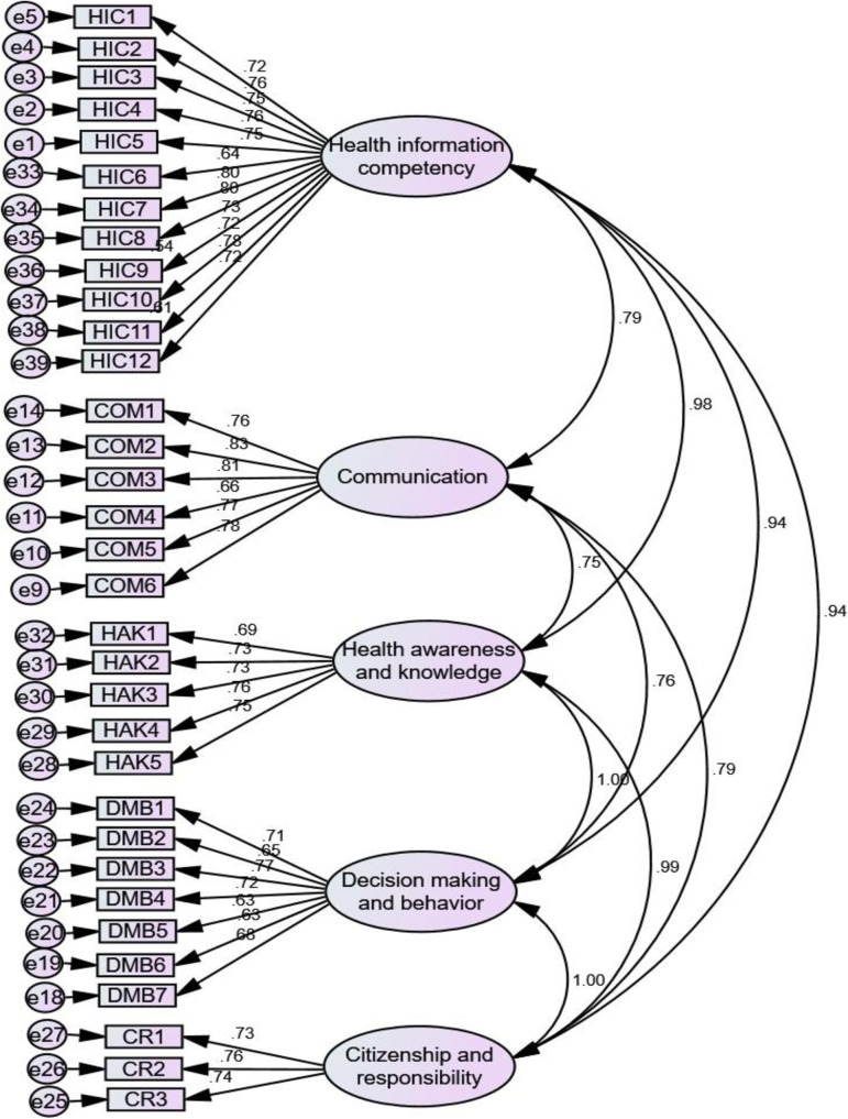 Development and validation of an adolescent health literacy scale in Ethiopia: A mixed methods approach.