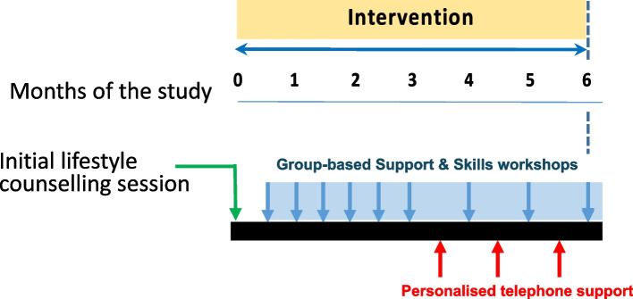 North of England Women's Diet and ActivitY - After Breast Cancer (NEWDAY-ABC) intervention in women diagnosed with early oestrogen-positive, HER2-negative breast cancer: a randomised controlled feasibility study.