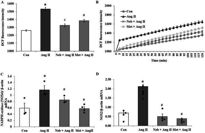 Differential effects of β-blockers nebivolol and metoprolol on mitochondrial biogenesis and antioxidant defense in angiotensin II-induced pathology in H9c2 cardiomyoblasts.