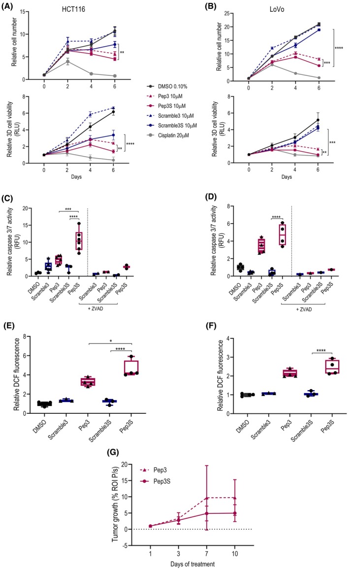 Targeting the MDM2-MDM4 interaction interface reveals an otherwise therapeutically active wild-type p53 in colorectal cancer.