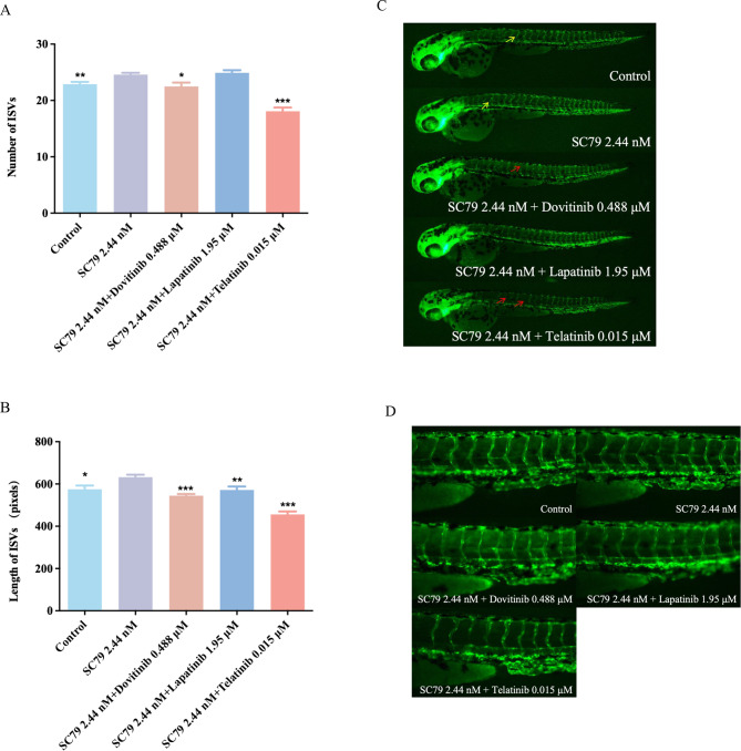 The inhibitory effect of tyrosine kinase inhibitors on angiogenesis in zebrafish and interrelationship with the activation of the PI3K/AKT pathway.